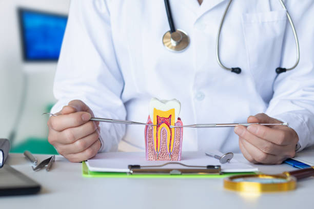 Best Emergency Treatment for Toothache in Helena West Side, MT
